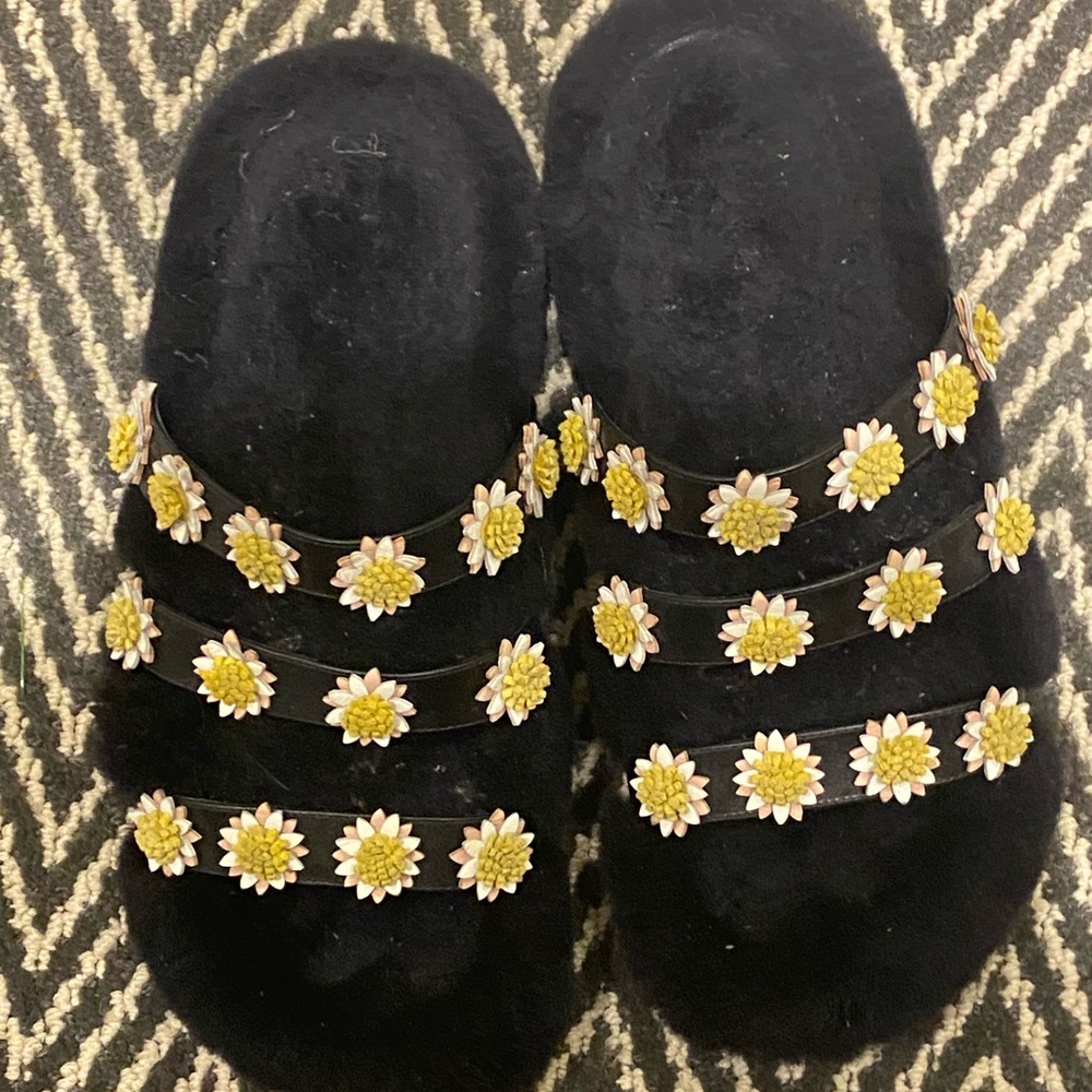 Fabrizio Vito Berkley Slides